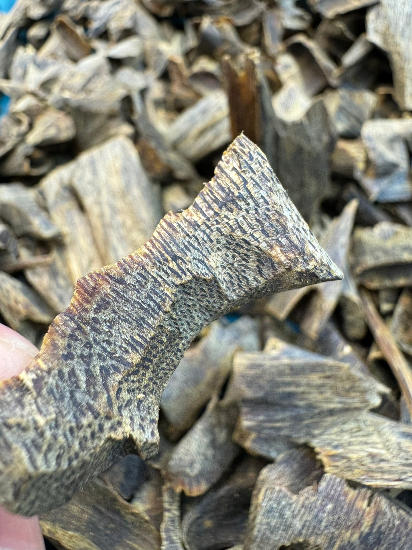 Kynam Oud Chips Sinking - 250 Gram