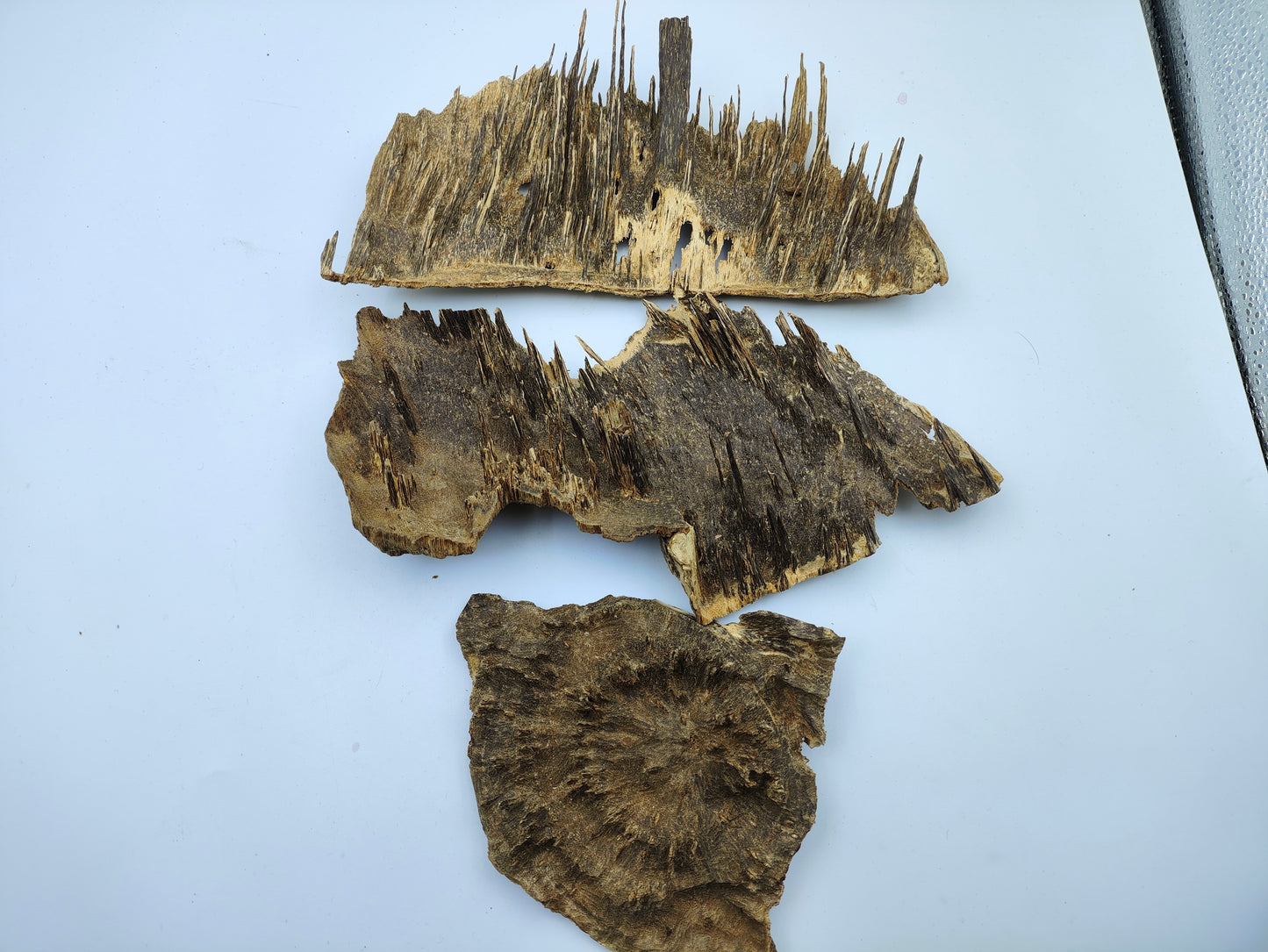 Hainan Wild Jungle Pure SuChi Oud