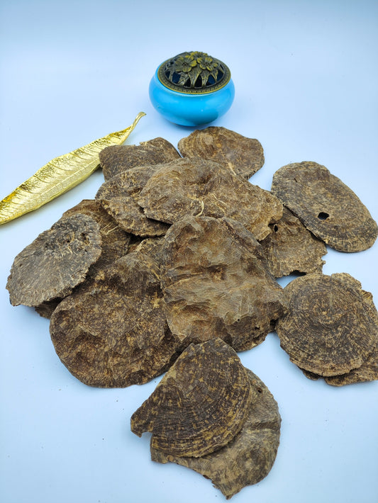 Agarwood — The Supreme Fragrance of Wood, the Miracle of Time and Earth