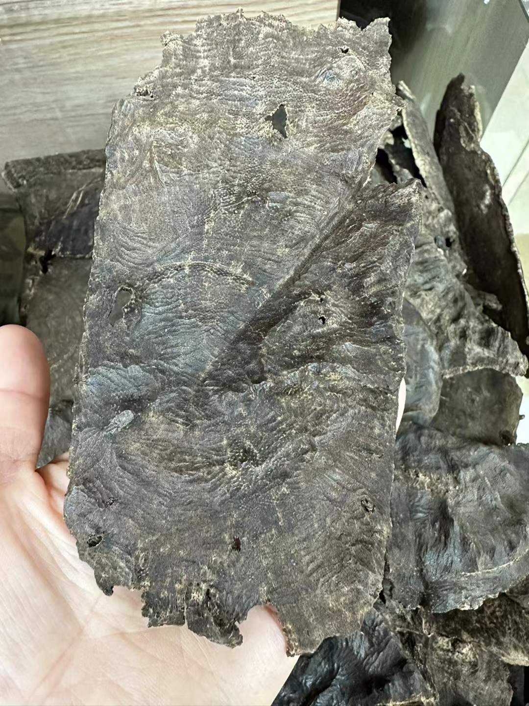 Fragrance and Faith — A Curl of Smoke Before the Buddha